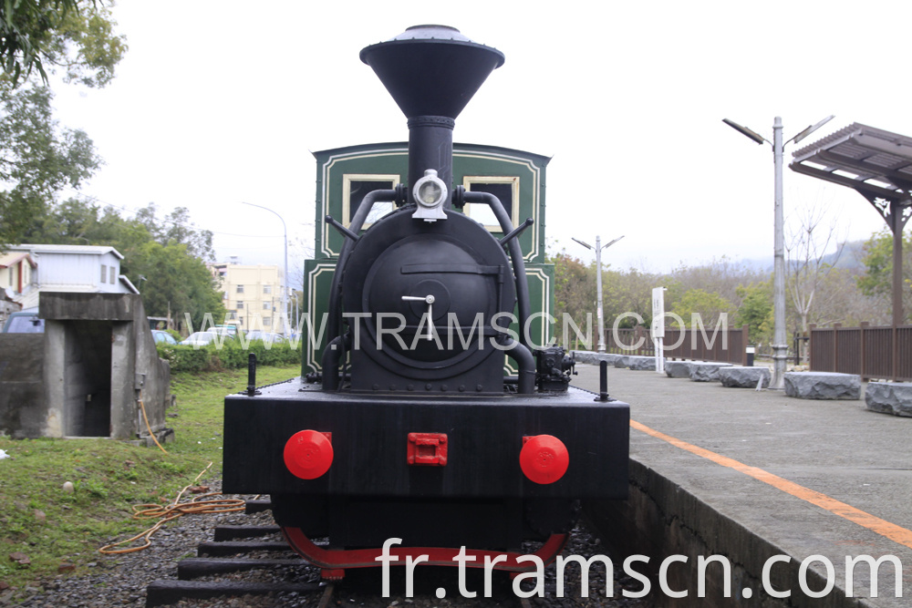 sightseeing trains green black colour